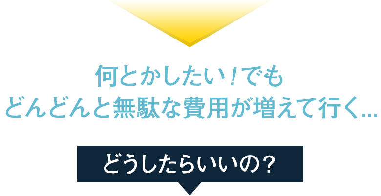何とかしたい！でも無駄な費用だけが消費されていく...
